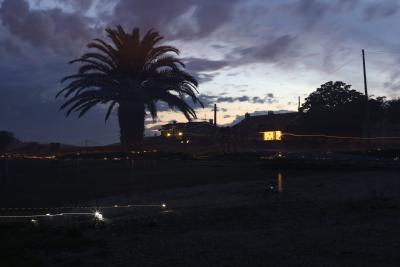 Прикрепленное изображение: IMG_0810_w.jpg